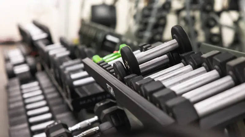 Gym1 800 opt.webp